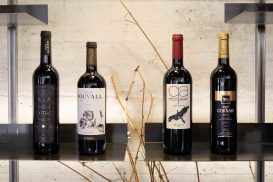 Pack 1 Vinhos Tintos Blend